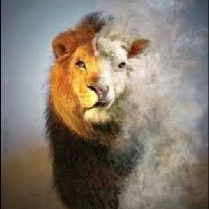 Meet your Posher, Cory